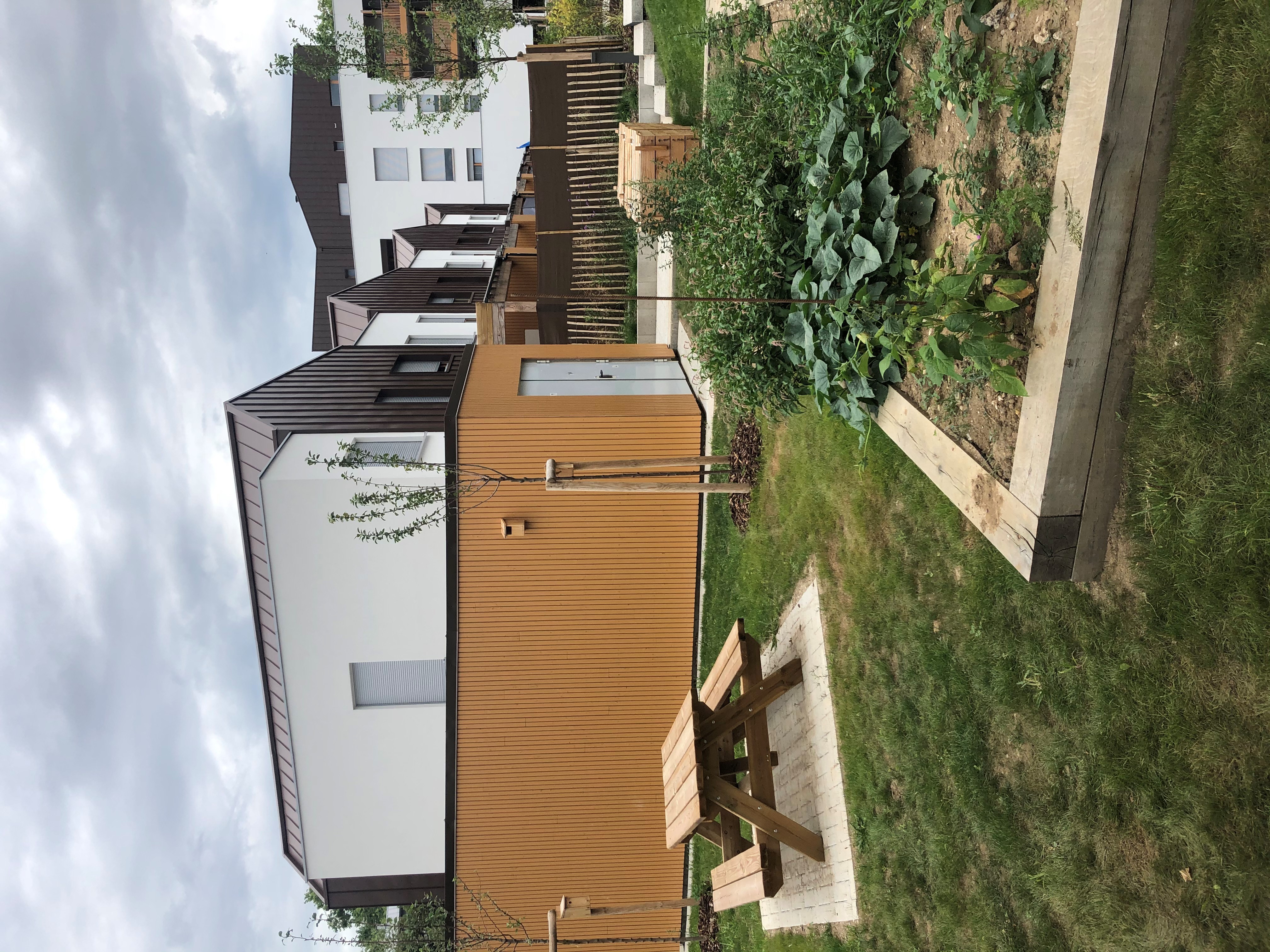Terrasse et verdure devant la résidence Eko2 à la Meinau | Alcys Réalisations